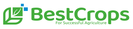 bestcrops.in